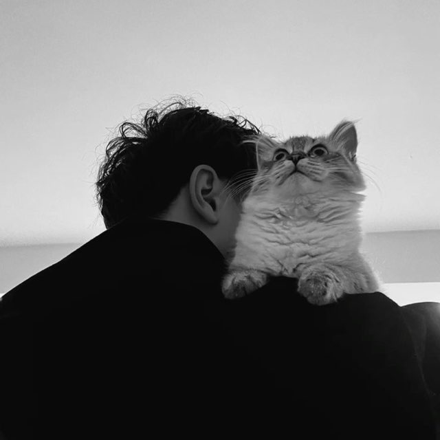 Mind from behind, a kitten on his shoulder looking up